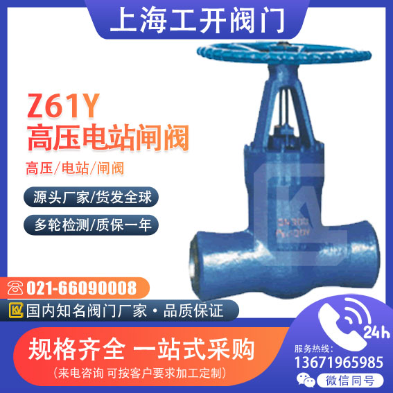 閘閥  高壓電站閘閥